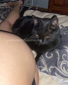 Анкета проститутки Ида - метро Пресненский, возраст - 23