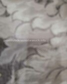 Анкета проститутки Кира - метро Дорогомилово, возраст - 24