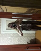 Анкета проститутки Кристина - метро Ростокино, возраст - 35